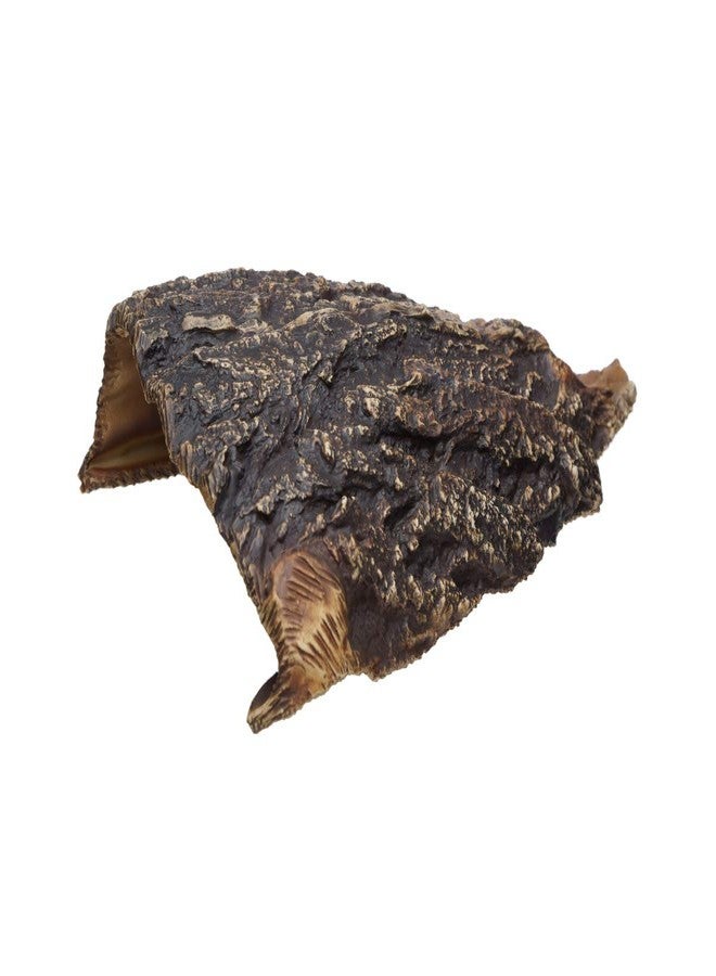 Plecoceramics كهف حوض السمك من السيراميك - ديكور حوض سمك بيتا من السيراميك - ديكور حوض سمك طبيعي - مخبأ كبير للزواحف - مخبأ كهف للأسماك - مخبأ للثعابين - كهف لأسماك السيكلد والبليكو (كهف) - Image 1